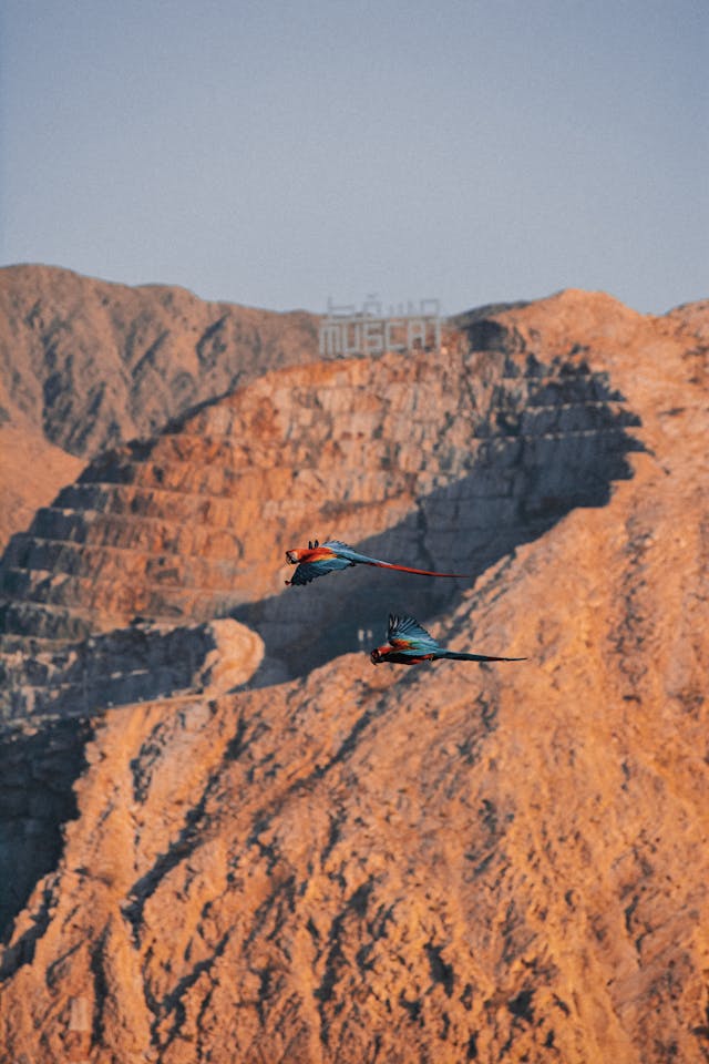 Eldorado mission and vision – reliable raw material sourcing